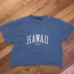 brandy melville light blue hawaii crop top